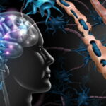 Sclérose en plaques : l'impact du vieillissement sur la prise en charge des patients