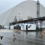Tchernobyl, 40 ans après : la biodiversité prospère malgré la radioactivité