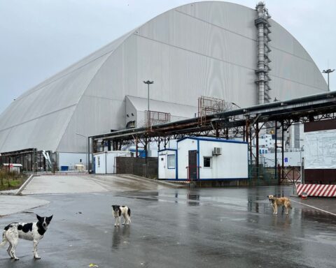 Tchernobyl, 40 ans après : la biodiversité prospère malgré la radioactivité