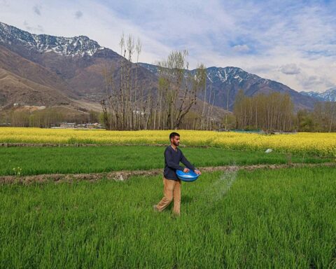 Un accord sur le transit à travers le détroit d'Hormuz pourrait sauver des millions de personnes