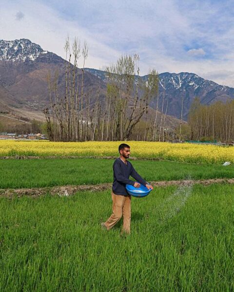 Un accord sur le transit à travers le détroit d'Hormuz pourrait sauver des millions de personnes