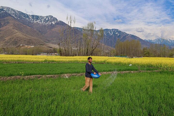 Un accord sur le transit à travers le détroit d'Hormuz pourrait sauver des millions de personnes