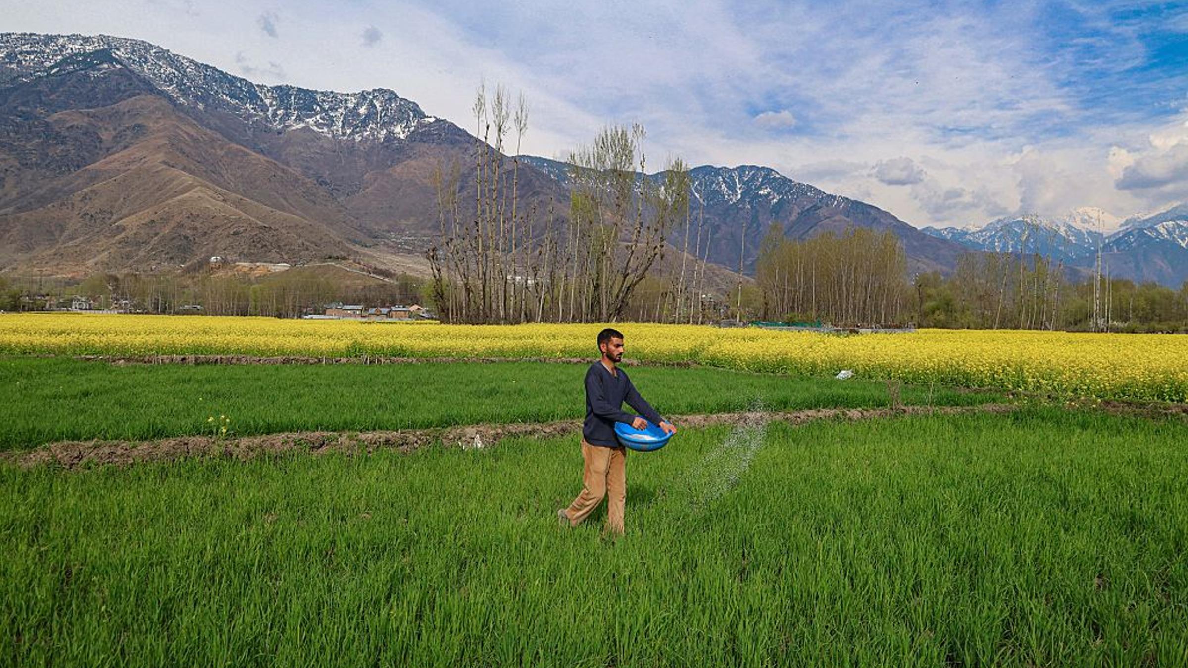 Un accord sur le transit à travers le détroit d'Hormuz pourrait sauver des millions de personnes