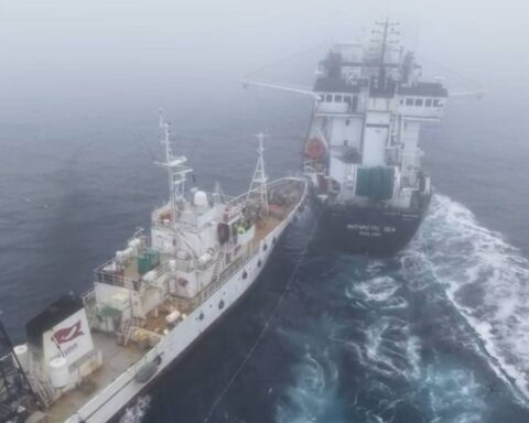Un navire de Sea Shepherd heurte délibérément un chalutier norvégien en Antarctique