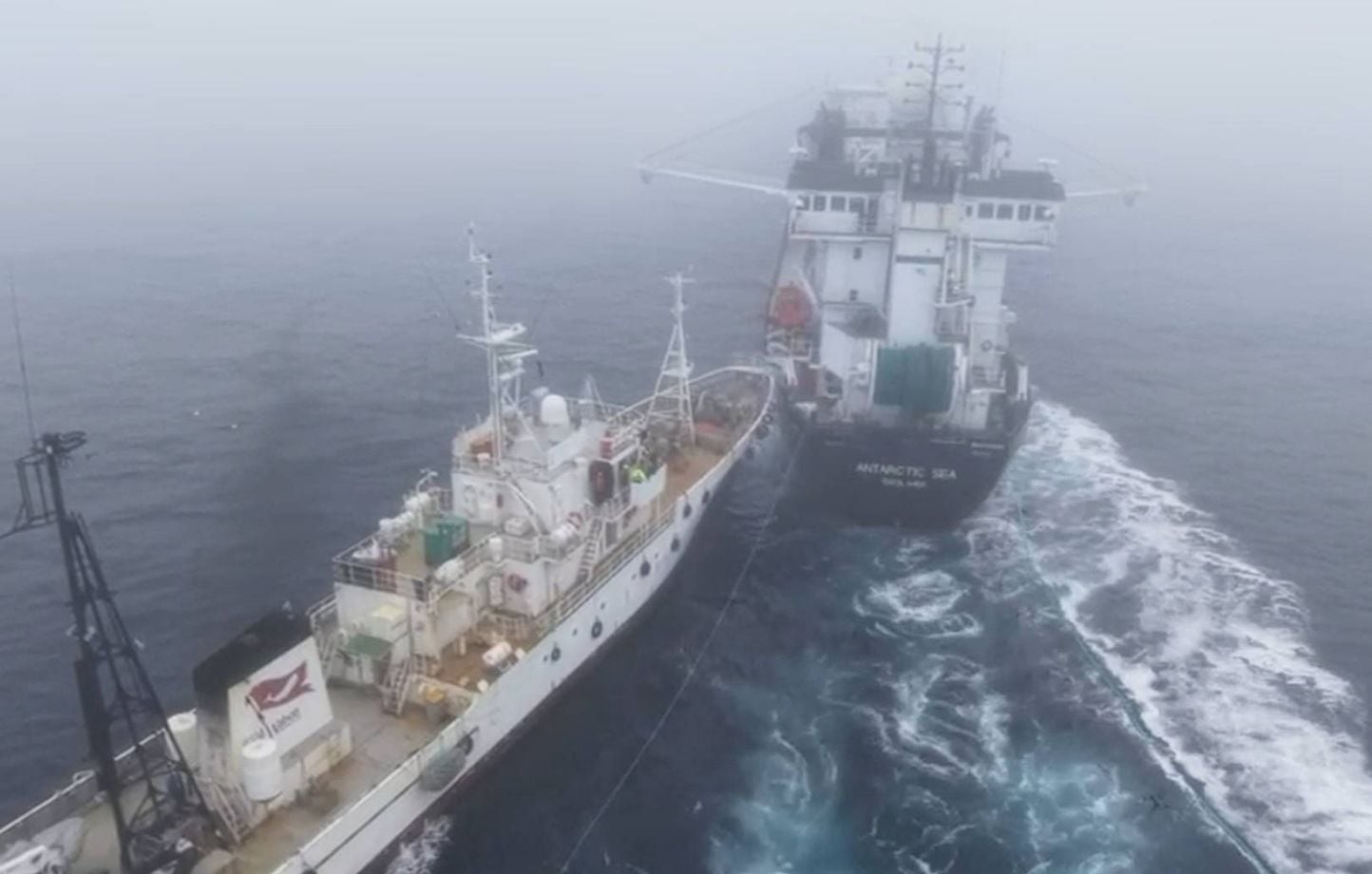 Un navire de Sea Shepherd heurte délibérément un chalutier norvégien en Antarctique