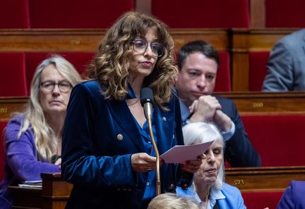 Une pétition contre la loi sur l'antisémitisme dépasse les 300 000 signatures en France