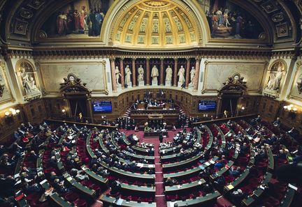 Adoption d'une loi contre les fraudes sociales : mesures de suspension des allocations et contrôle renforcé des entreprises