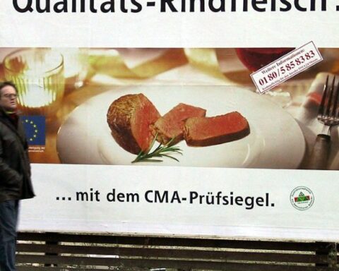 Amsterdam interdit la publicité pour la viande et les énergies fossiles : une première mondiale