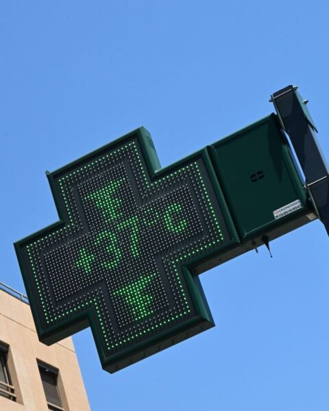 Canicule en France : Les impacts inquiétants sur la santé mentale et la nutrition face à la hausse des températures