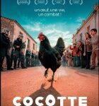 Cocotte : un film audacieux sur la liberté à découvrir en salles le 27 mai 2026