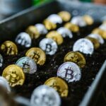 Fermeture du Bitcoin Bazar à Paris après deux ans d'activité en raison des défis du marché et des agressions envers les cryptomonnaies