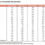 Guerre au Moyen-Orient : quels impacts sur la consommation d'engrais en France ?