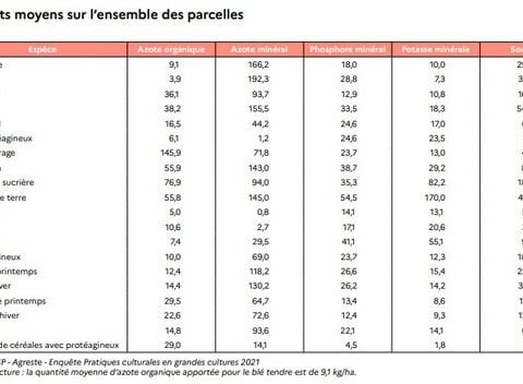 Guerre au Moyen-Orient : quels impacts sur la consommation d'engrais en France ?