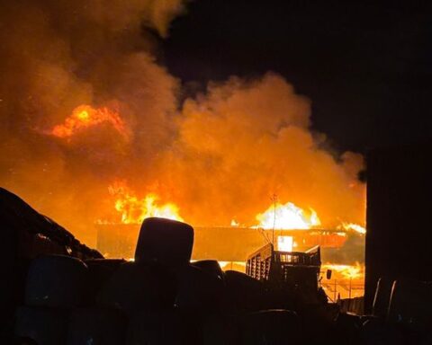 Incendies d'élevages en France : 458 incidents documentés en un an, 189.000 animaux brûlés vifs