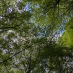 La priorité des Français se déplace vers l'économie au détriment de l'environnement, selon un sondage
