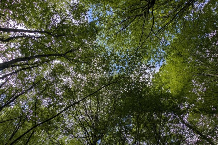 La priorité des Français se déplace vers l'économie au détriment de l'environnement, selon un sondage