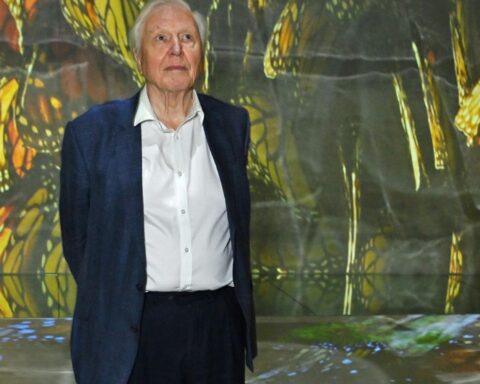 Le monde célèbre les 100 ans de David Attenborough avec des papillons et des concerts