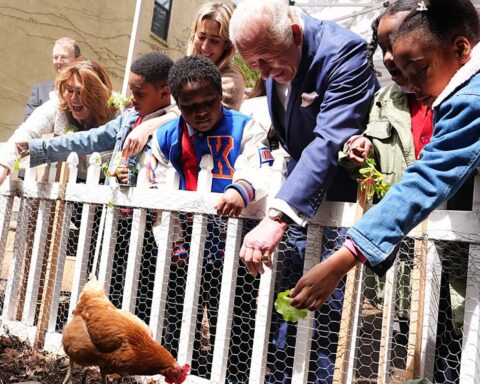 Le roi Charles rencontre des étudiants lors d'une après-midi dans une ferme urbaine à Harlem