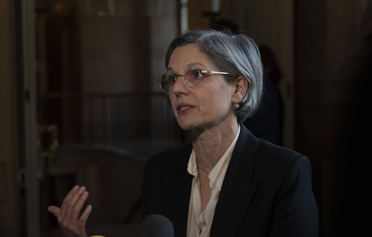 Sandrine Rousseau propose de renommer les steaks en "cadavres d'animaux" pour plus de transparence