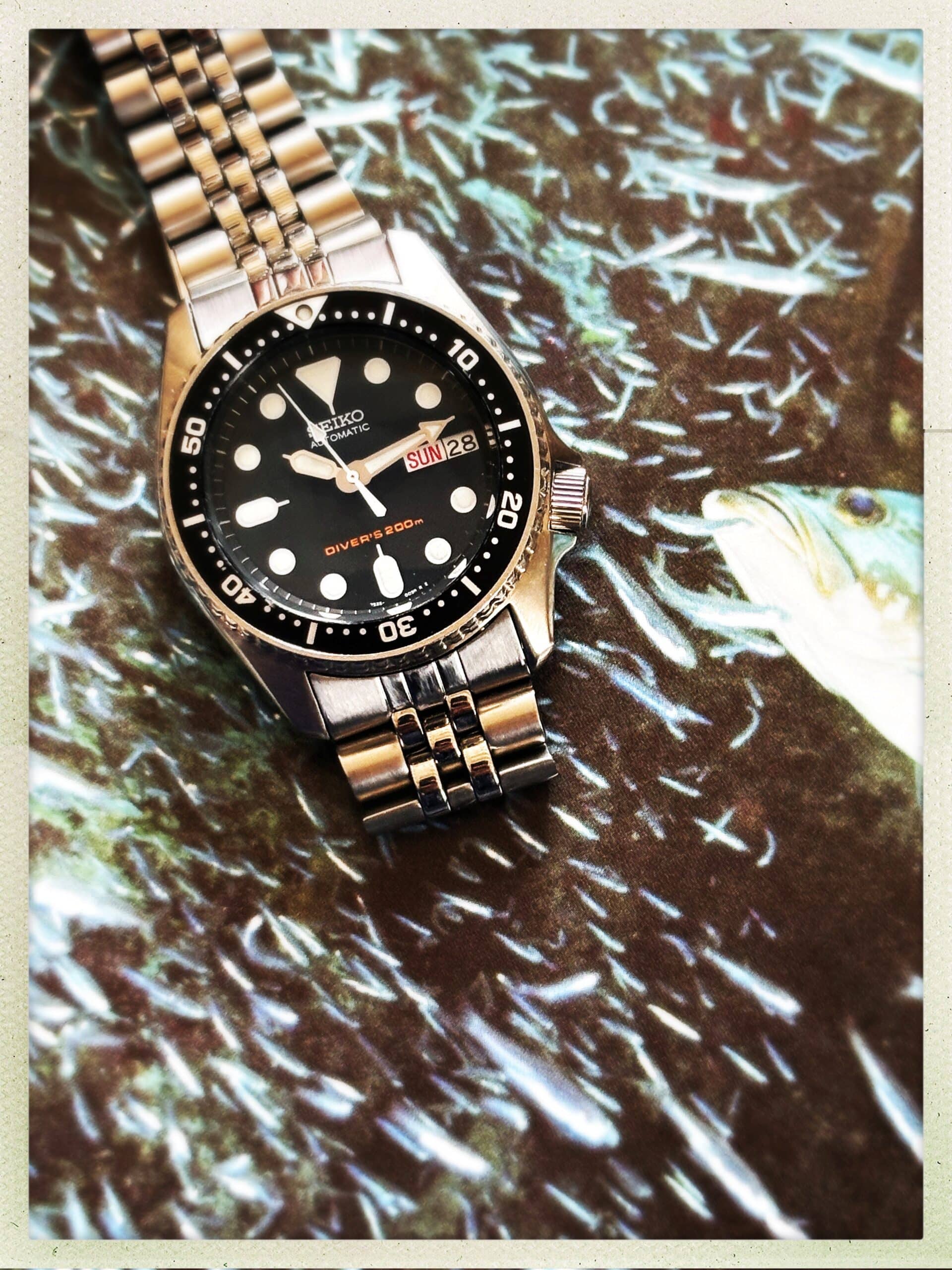Seiko SKX013 : l'alliance parfaite entre élégance discrète et fonctionnalité légendaire.