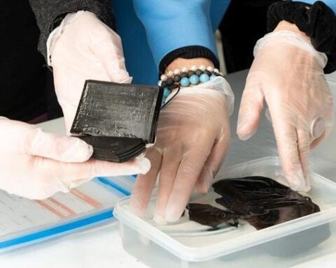 Un carnet médiéval retrouvé dans une latrine à Paderborn après 700 ans