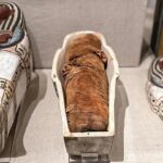 Un fragment de l'«Iliade» découvert à l'intérieur d'une momie égyptienne de l'époque romaine
