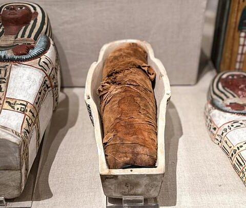 Un fragment de l'«Iliade» découvert à l'intérieur d'une momie égyptienne de l'époque romaine