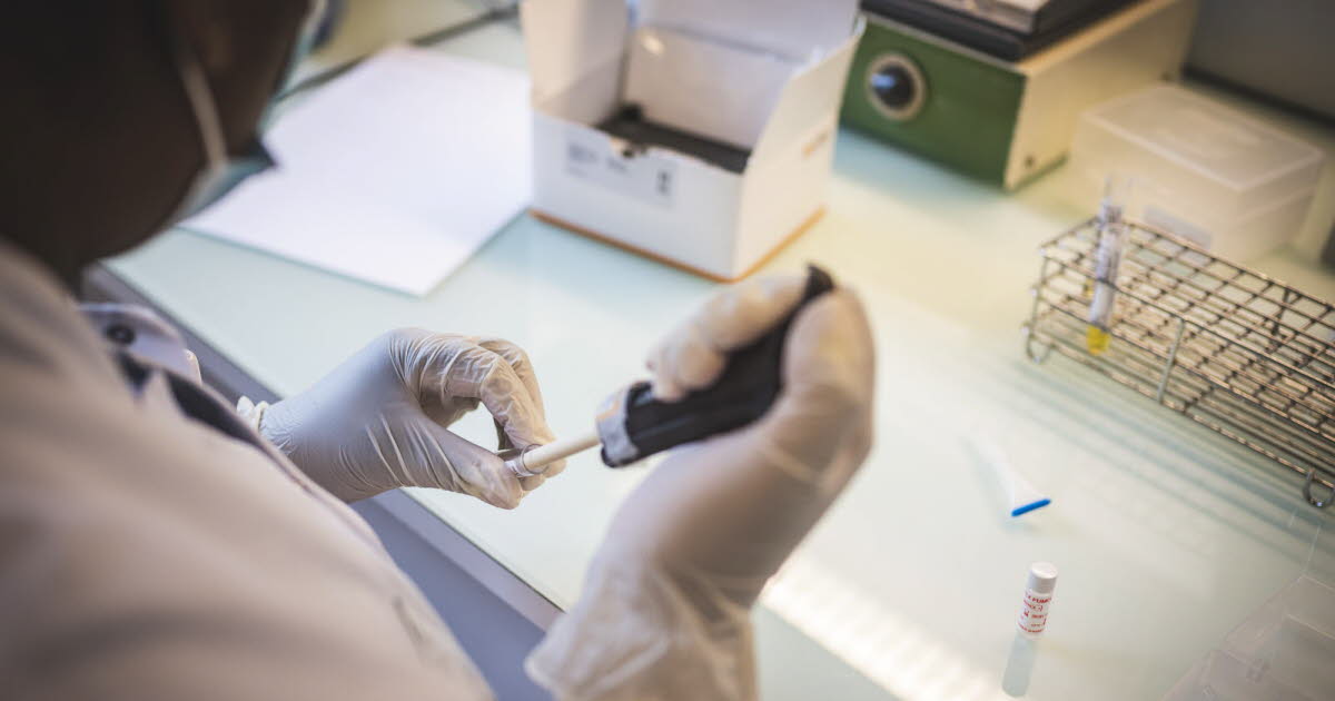 Un test de dépistage du cadmium bientôt remboursé pour les populations à risque en France