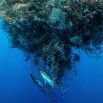 Accroissement alarmant des microplastiques dans les océans : des quantités dépassant les macrodéchets en masse
