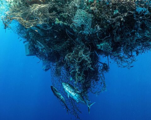 Accroissement alarmant des microplastiques dans les océans : des quantités dépassant les macrodéchets en masse