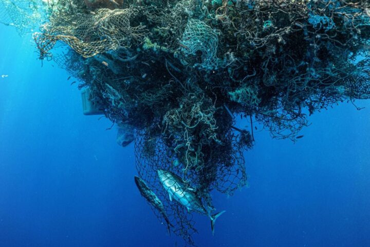 Accroissement alarmant des microplastiques dans les océans : des quantités dépassant les macrodéchets en masse