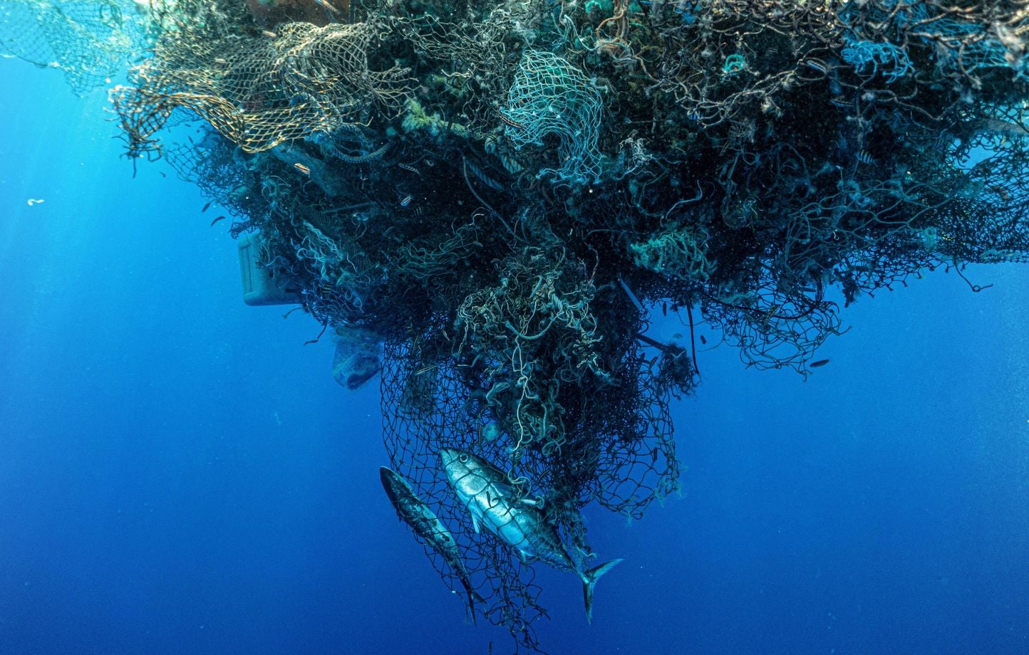 Accroissement alarmant des microplastiques dans les océans : des quantités dépassant les macrodéchets en masse