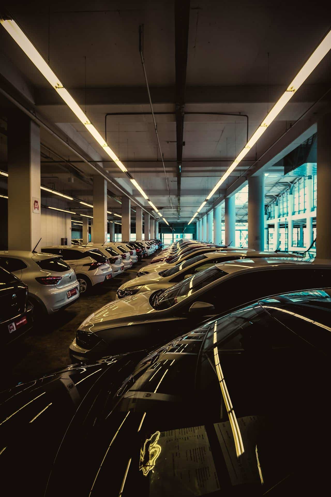 Augmentation des immatriculations de voitures neuves en mai grâce à l'électromobilité.