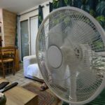 Canicule : combien de jours pour rafraîchir les logements après une semaine de chaleur record ?