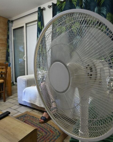 Canicule : combien de jours pour rafraîchir les logements après une semaine de chaleur record ?