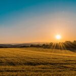Canicule : des températures record de +17,1 °C par rapport aux normales en France