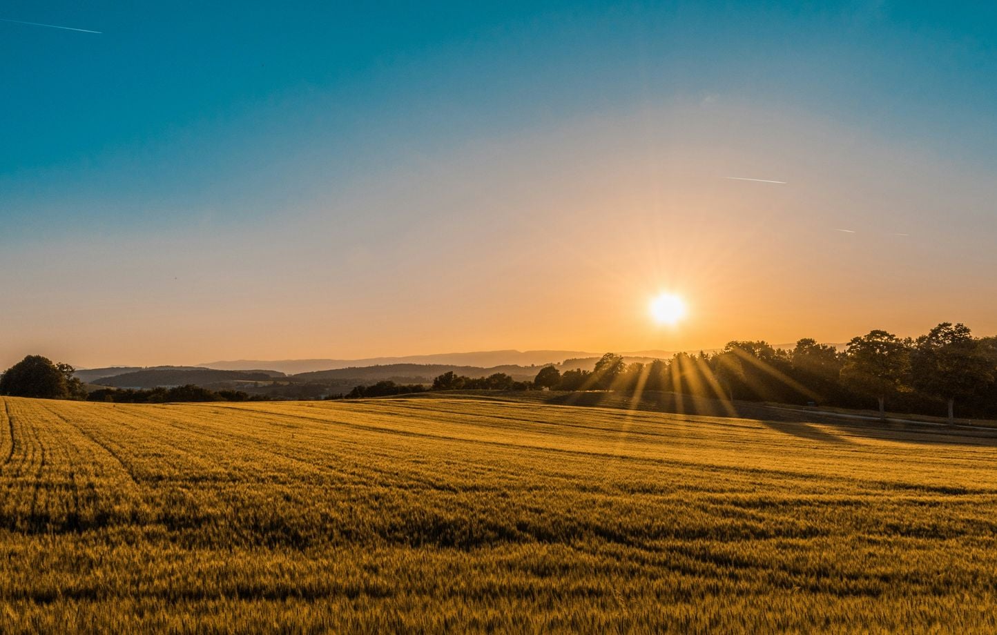 Canicule : des températures record de +17,1 °C par rapport aux normales en France