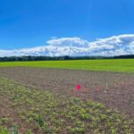 Canicule : la ferme de Grignon innove pour répondre aux défis agricoles du climat en France