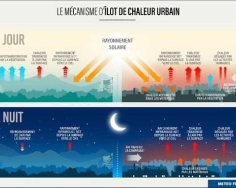 Canicule : le phénomène d'îlot de chaleur urbain impacte surtout Paris