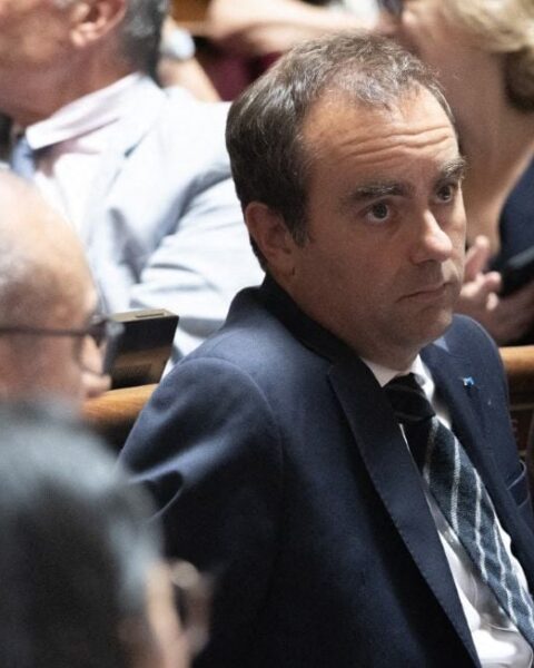 Canicule : les écologistes déposent une motion de censure contre le gouvernement Lecornu