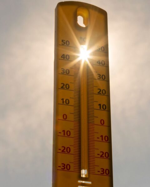 Canicule : une nouvelle vague de chaleur attendue en France la semaine prochaine