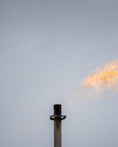 Climat : les financements des banques aux énergies fossiles atteignent 906 milliards de dollars en 2024