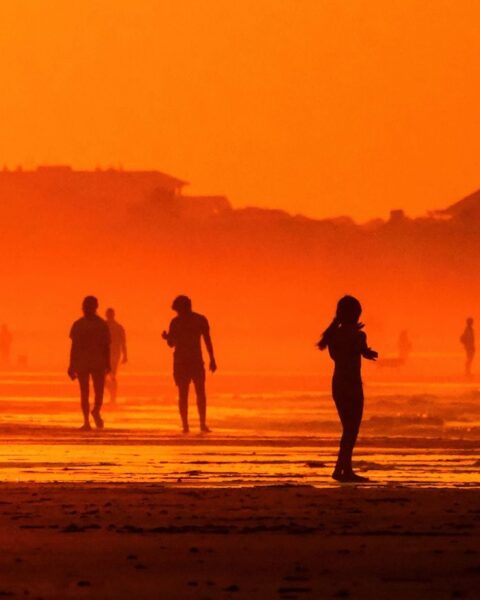 COP31 : plusieurs pays dénoncent des attaques sur la science climatique lors des négociations à Bonn