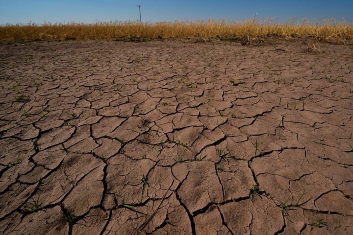 El Niño : début des phénomènes climatiques extrêmes, alerte de la NOAA sur des risques accrus
