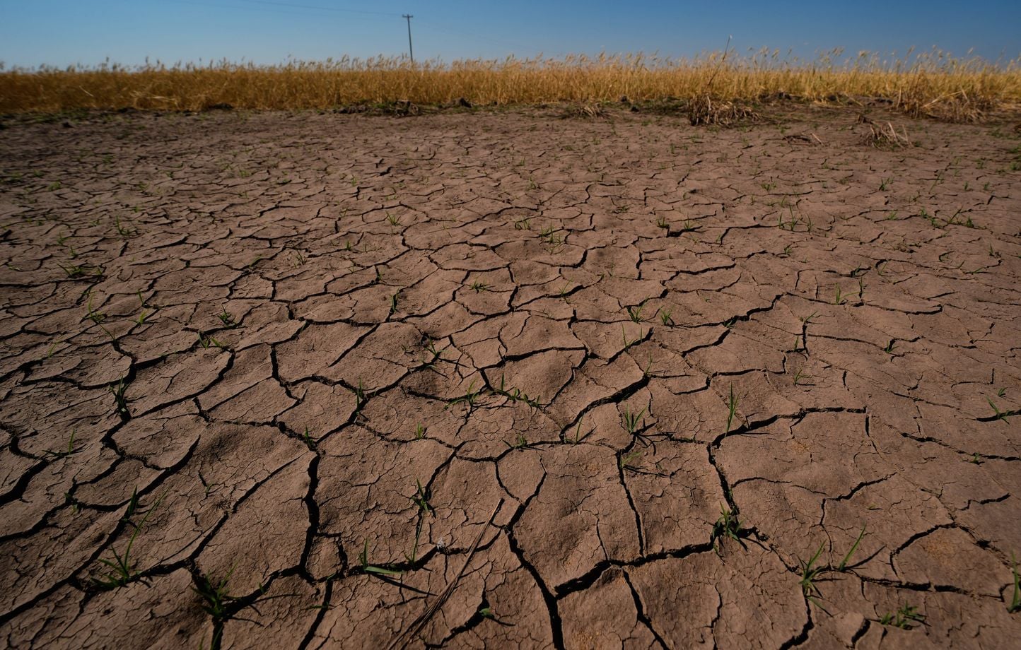 El Niño : début des phénomènes climatiques extrêmes, alerte de la NOAA sur des risques accrus