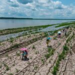 Épisode El Niño : 80 % de probabilité cet été d'influencer le climat mondial