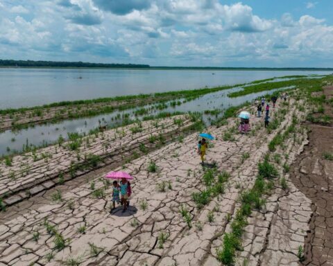 Épisode El Niño : 80 % de probabilité cet été d'influencer le climat mondial