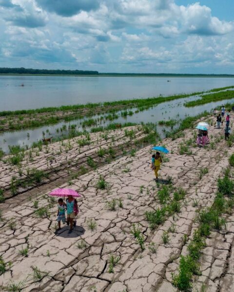 Épisode El Niño : 80 % de probabilité cet été d'influencer le climat mondial