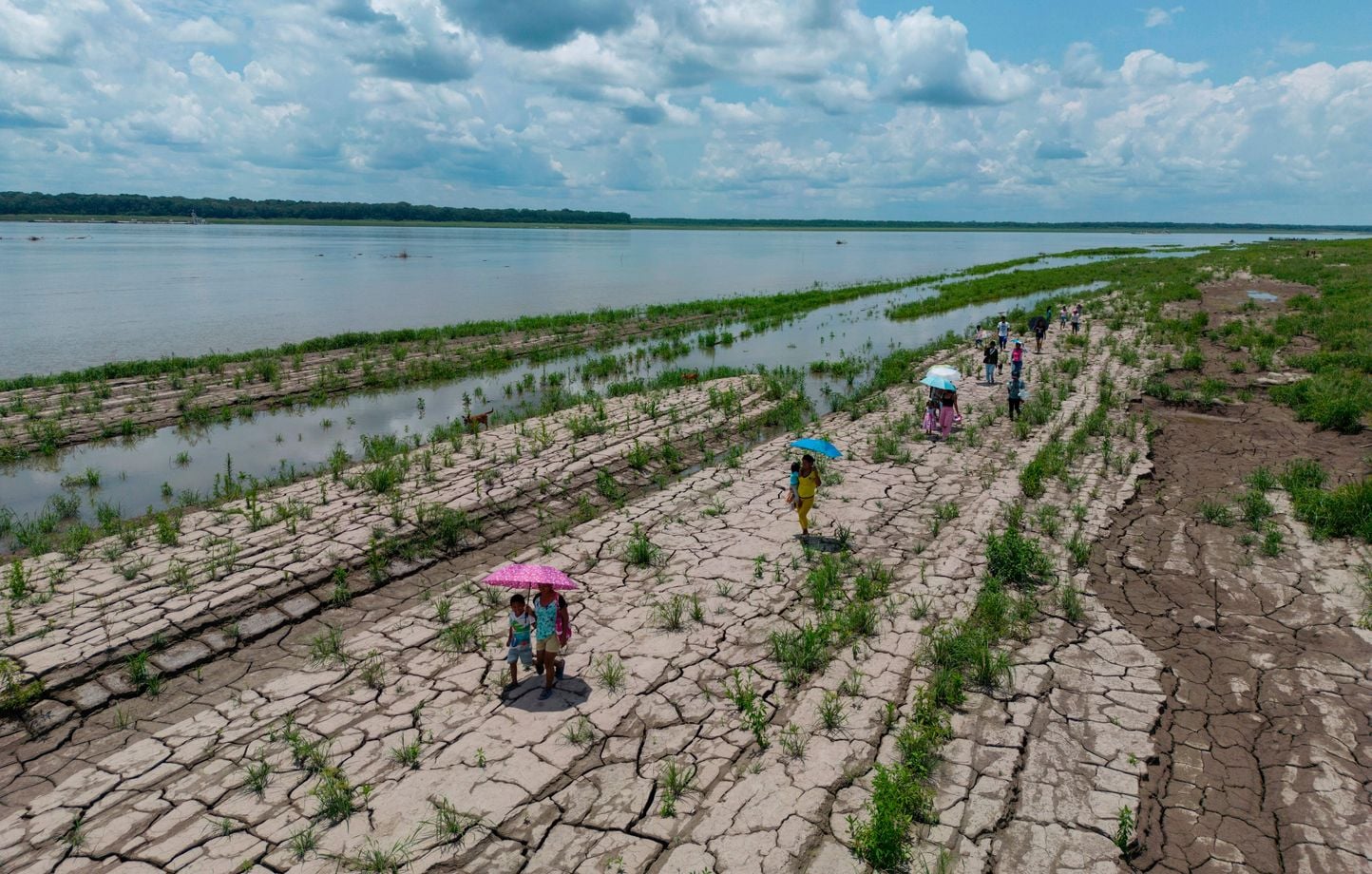 Épisode El Niño : 80 % de probabilité cet été d'influencer le climat mondial