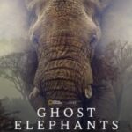 « Ghost Elephants » : le nouveau film de Werner Herzog explore la quête de la vie à travers le Kalahari